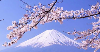富士山一日游